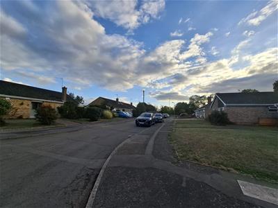 Picture 15
